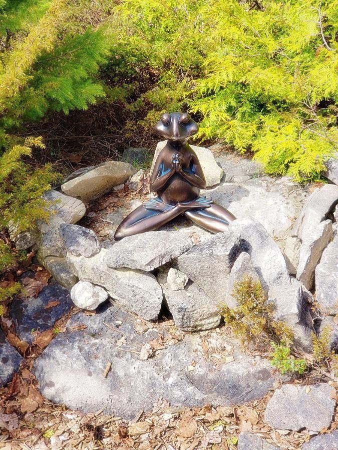 New Buddha Bing Unique Experience Cottage And Cabins Tobermory Eksteriør bilde